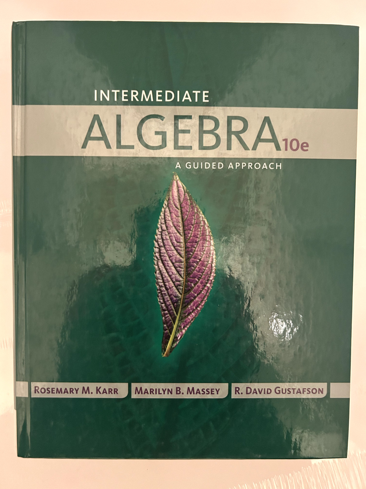 intermediate Algebra 10e