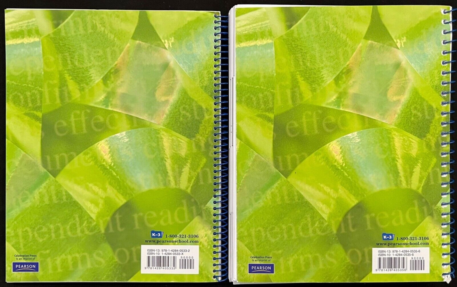 K – 3rd Grade – DRA2 – TEACHER GUIDE & BLACKLINE MASTERS (2 books) (2006)