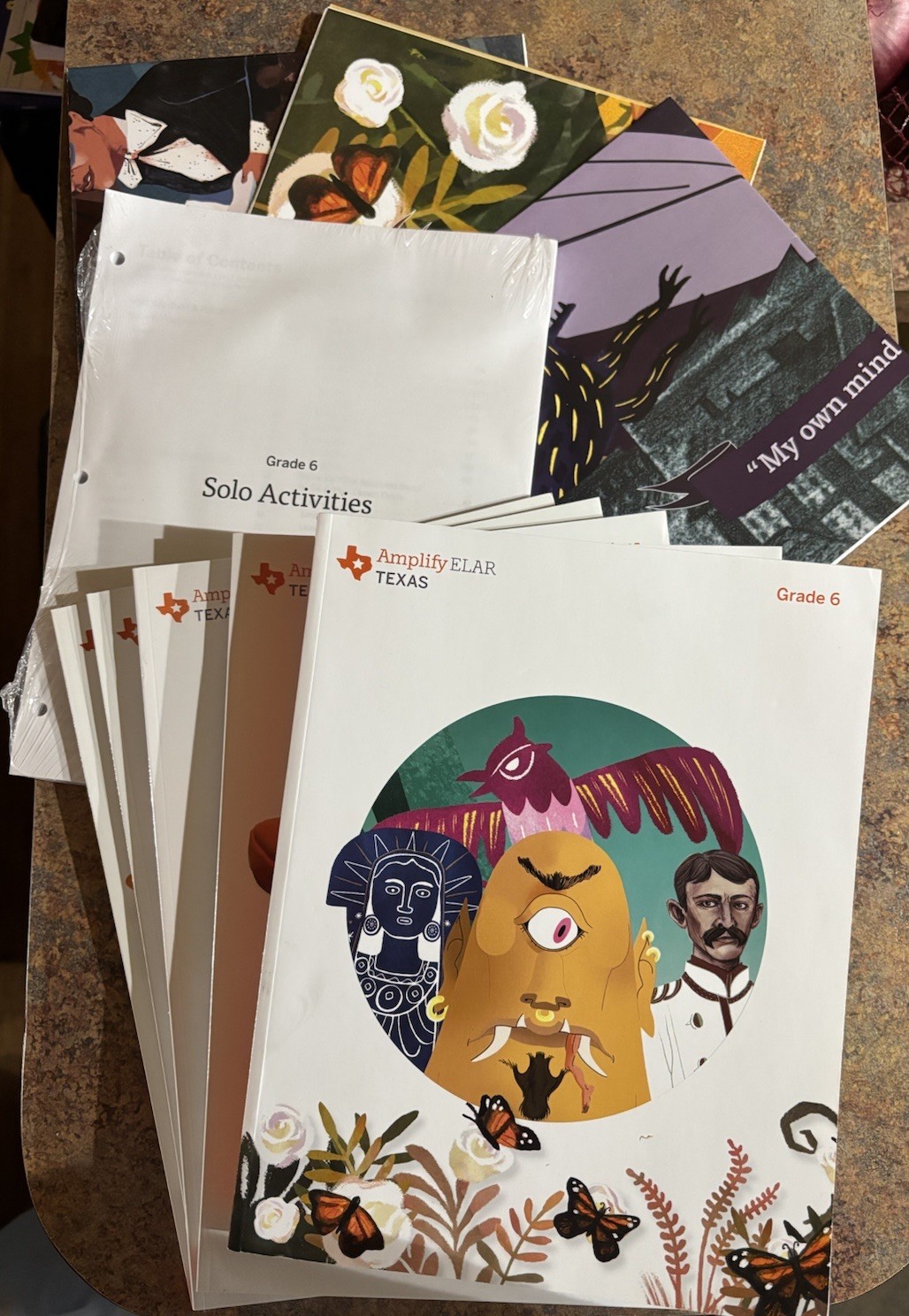 Amplify 6th Grade ELAR Student & Teacher Edition With Activity Book & Posters