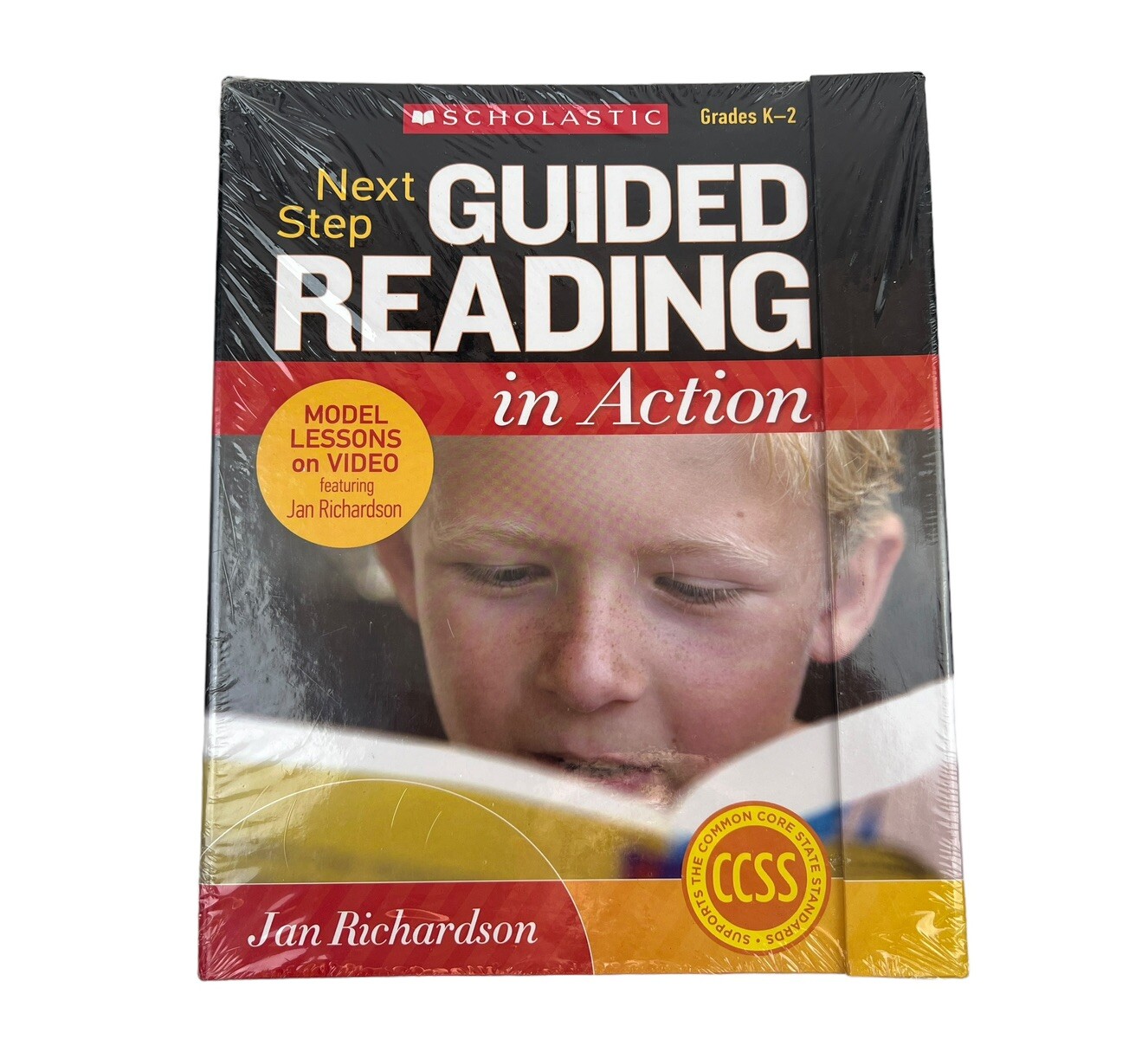Next Step Guided Reading in Action, Grades K-2 : Model Lessons on Video book