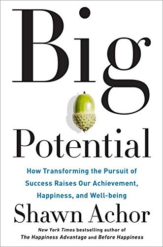 BIG POTENTIAL By Shawn Achor **BRAND NEW**