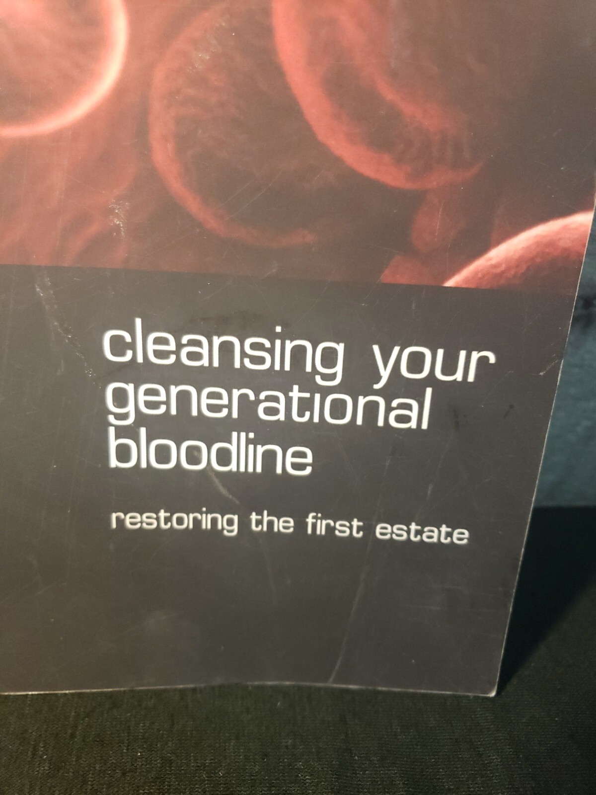 Repentance: Cleansing Your Generational Bloodline by Natasha Grbich