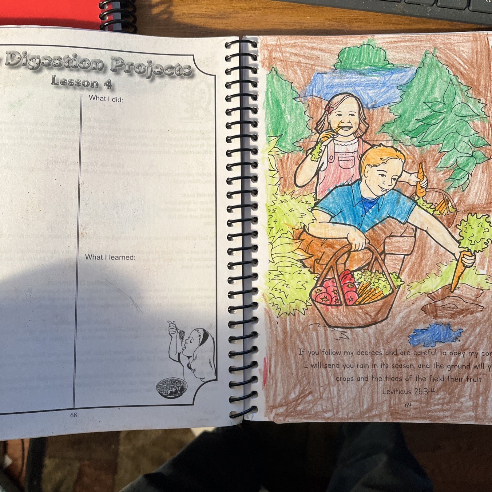 Exploring Creation with Human Anatomy and Physiology: Junior Notebooking Journal