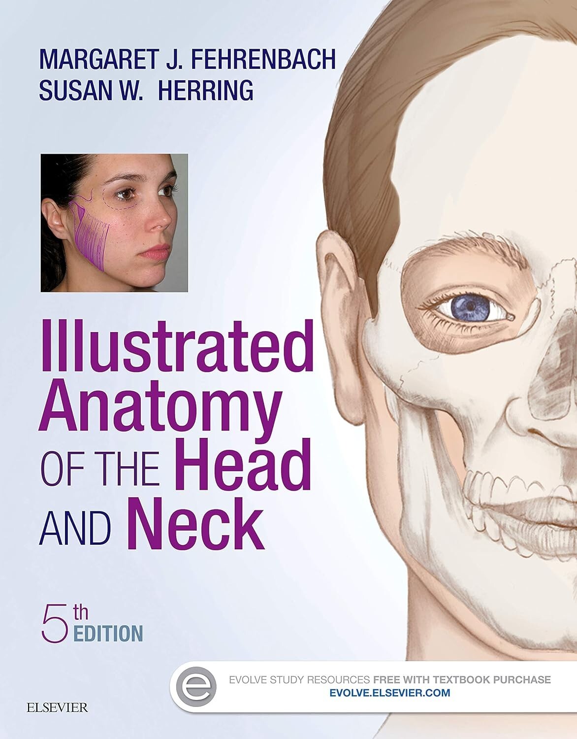 Illustrated Anatomy of the Head and Neck 5th Edition, LIKE NEW