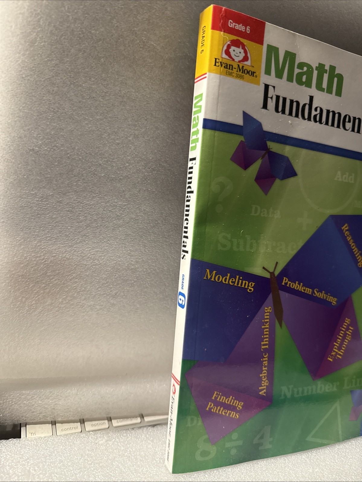 Math Fundamentals Grade 6 New