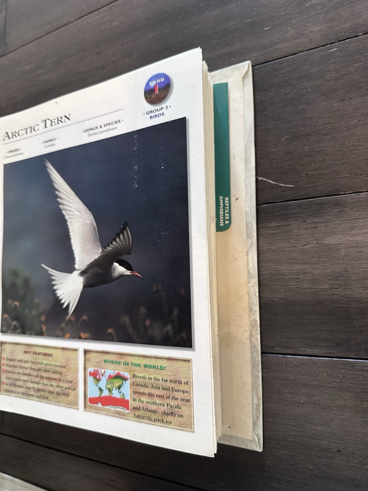 Wildlife Explorer Binder Groups 1-8 — 600+ Cards & Tabs Educational Homeschool
