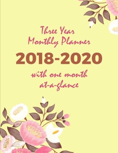 THREE YEAR MONTHLY PLANNER 2018-2020 WITH ONE MONTH AT A By Useful Books **NEW**
