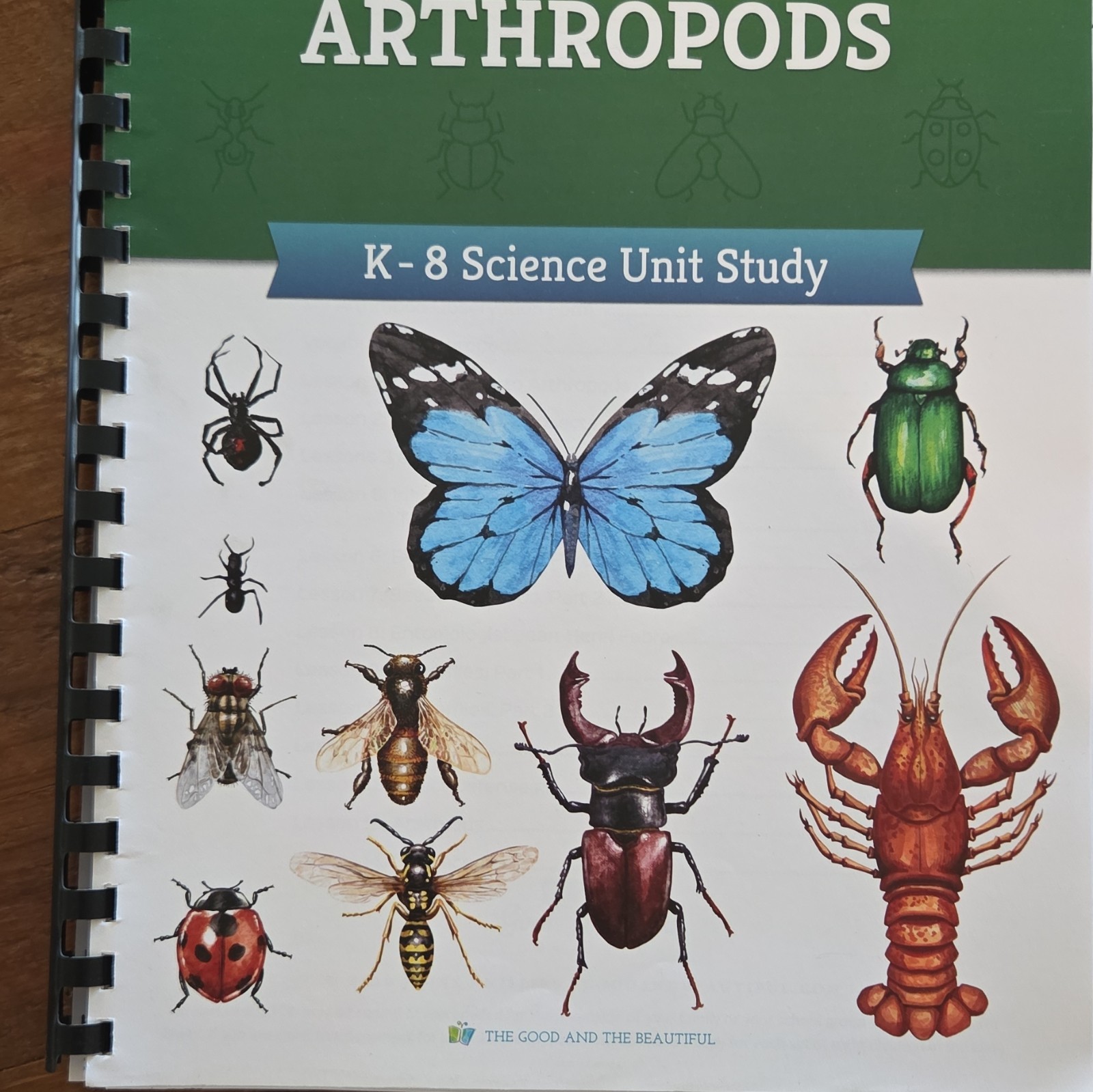 The Good and the Beautiful Arthropods K-8 Spiral-Bound Study Guide