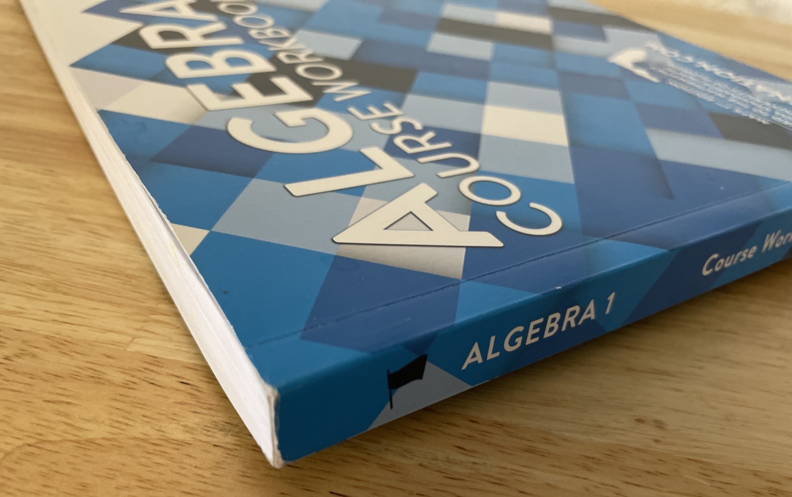 ALGEBRA 1 – Florida – Course Workbook Study Edge (2020 Trade Paperback) 7th Ed