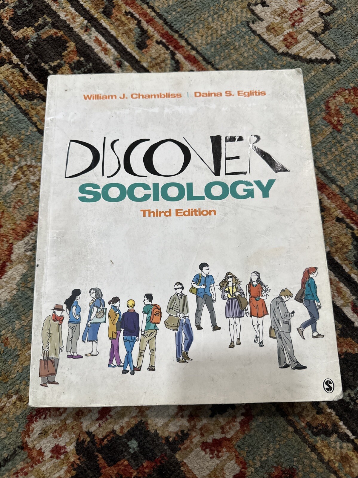 Discover Sociology textbook 3rd edition, Chambliss and Eglitis