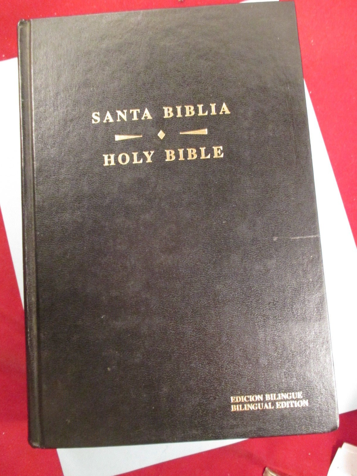 BILINGUAL Santa Biblia HOLY BIBLE