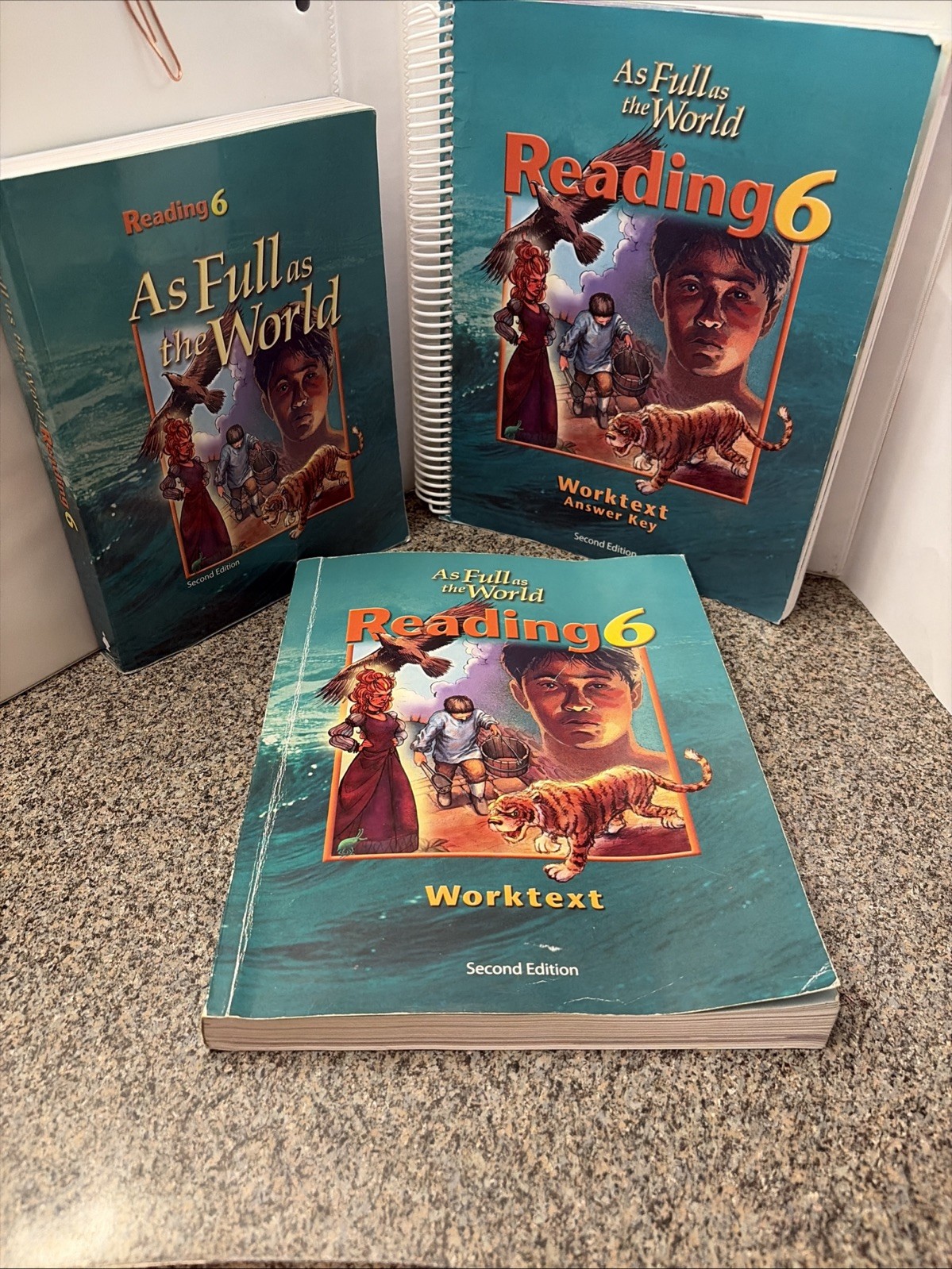 BJU Reading 6, 2nd Ed. (Set of 3)