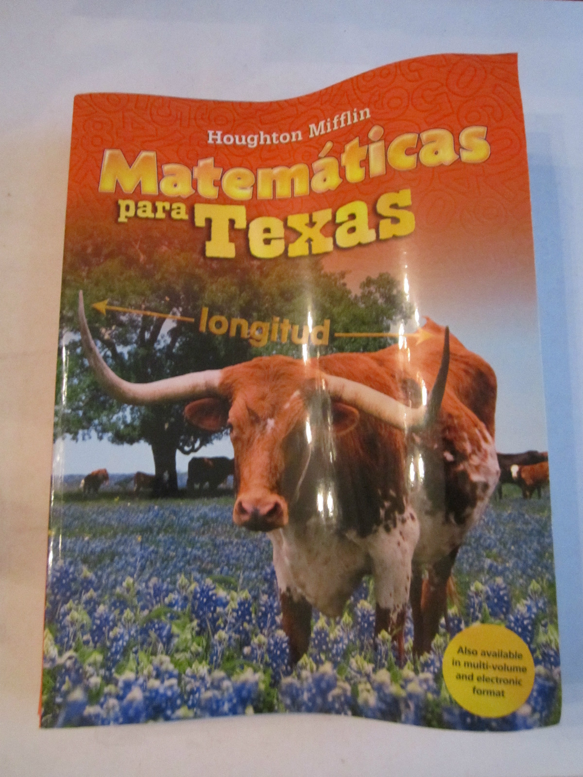 2009 MATEMATICAS PARA TEXAS WORKBOOK – SPANISH VERSION