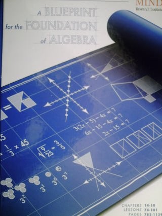 A BLUEPRINT FOR THE FOUNDATION OF ALGEBRA (MIND’S By Matthew Peterson BRAND NEW