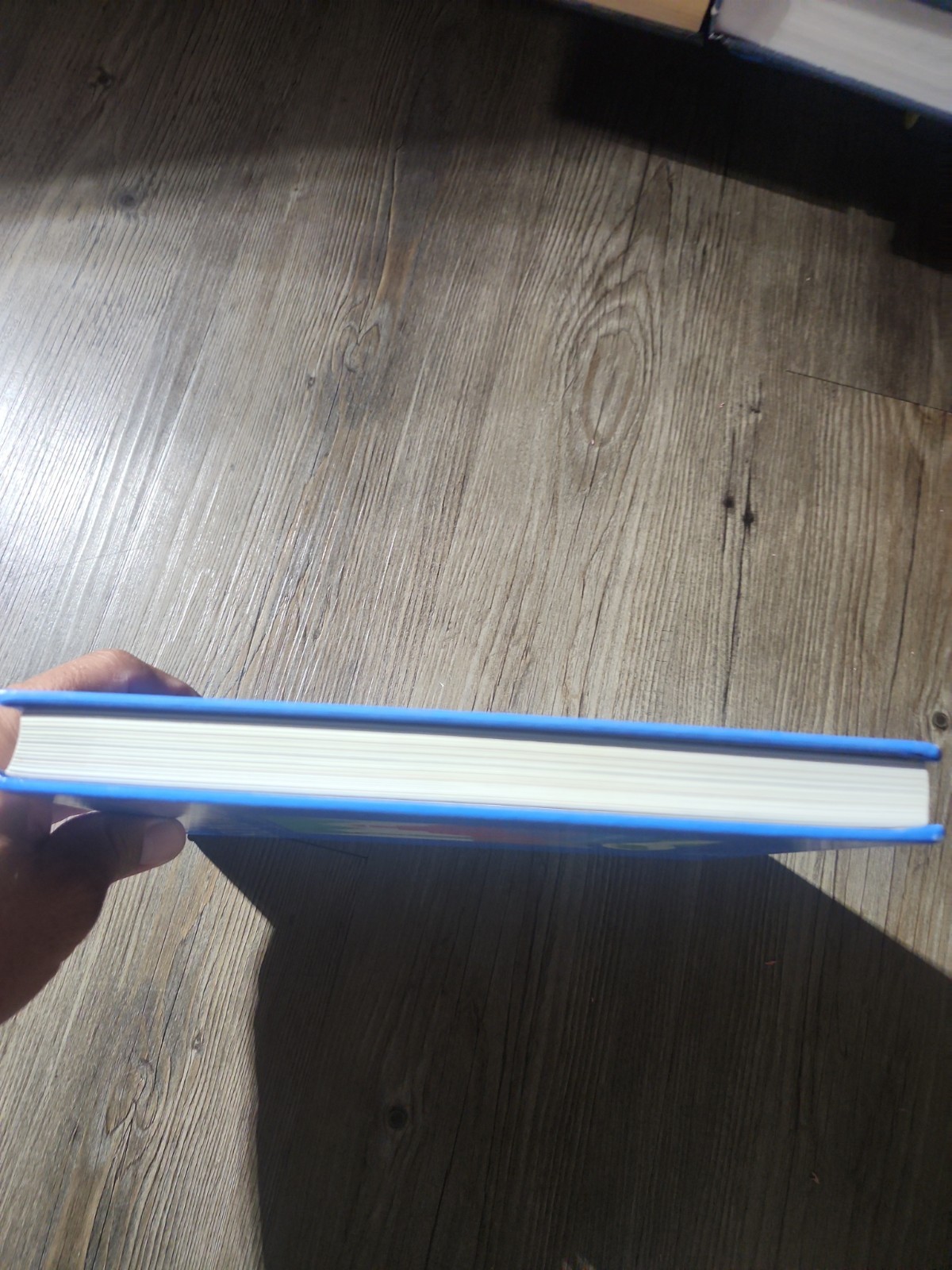Sans Bornes (1990, Hardcover, Teacher Edition’s Guide)