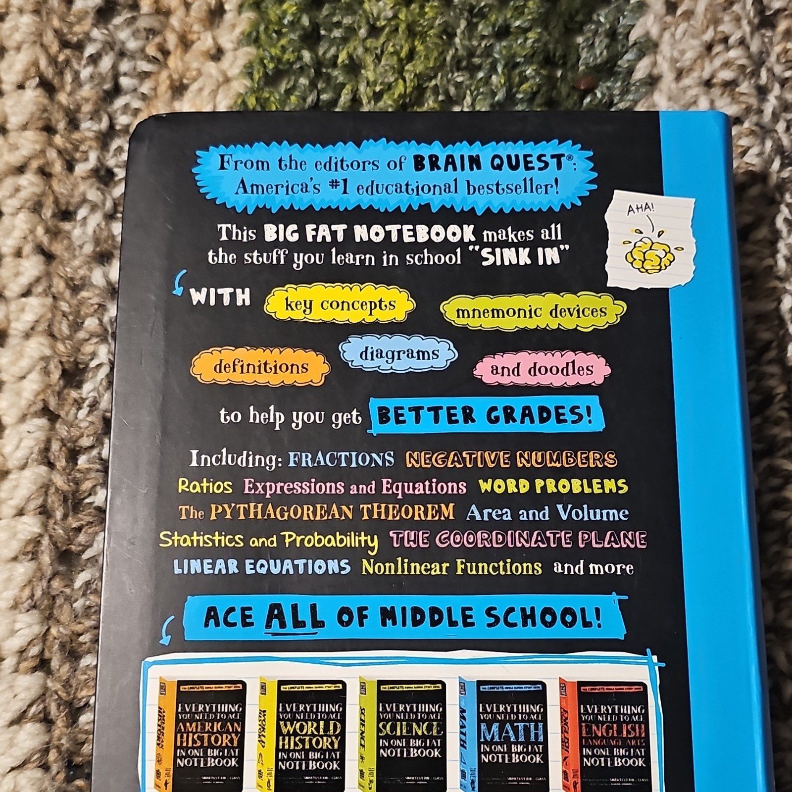 Workman Publishing Everything You Need to Ace Math Study Guide Middle School