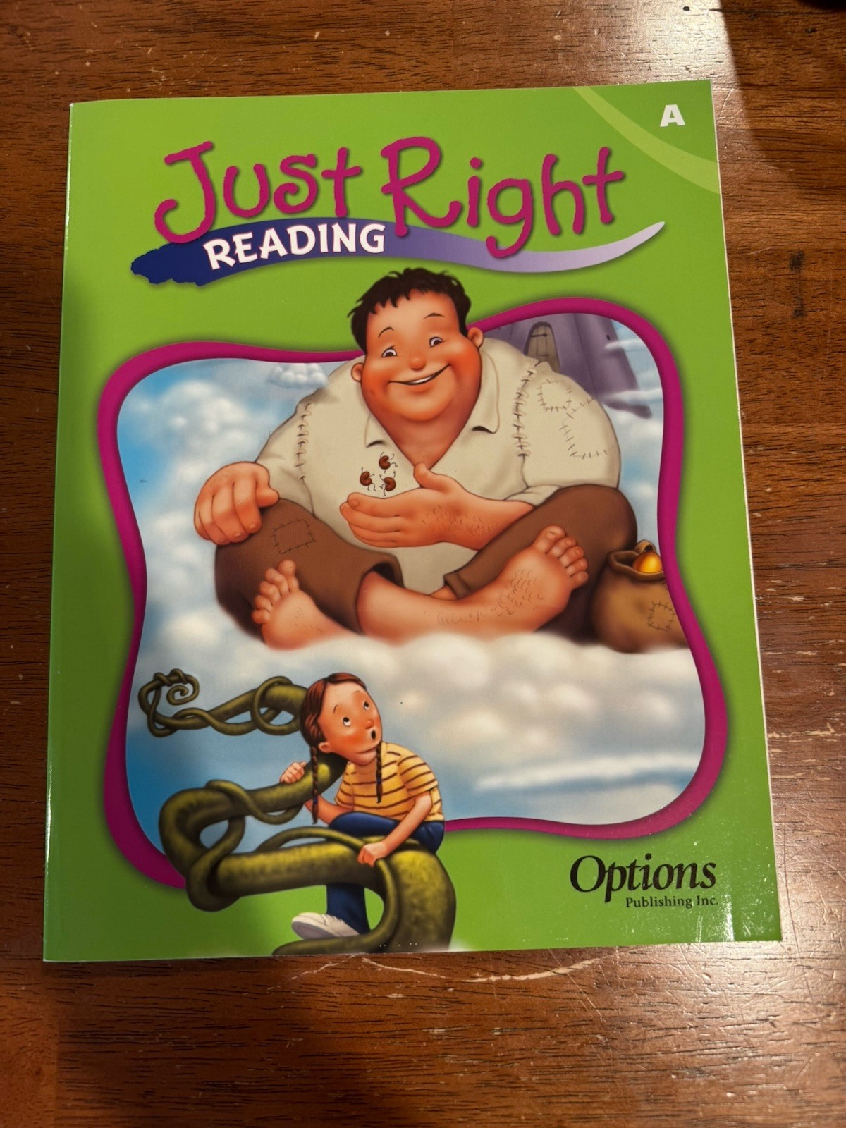 Beginning Reader Resources; Phonics, Levels A-C Workbooks