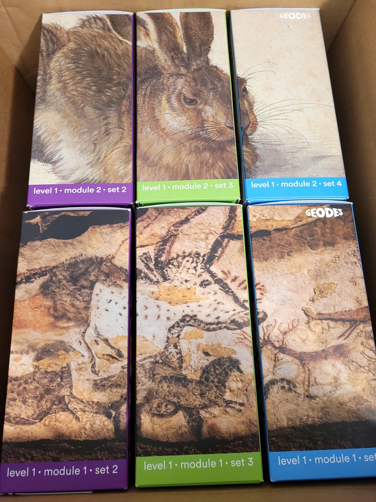 **NEW** Geodes Level 1 Classroom Library – Module 1 & 2