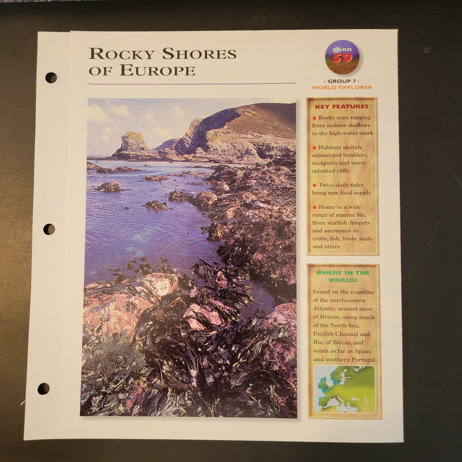 Wildlife Explorer Card 59 Group 7 World Explorer Rocky Shores Of Europe
