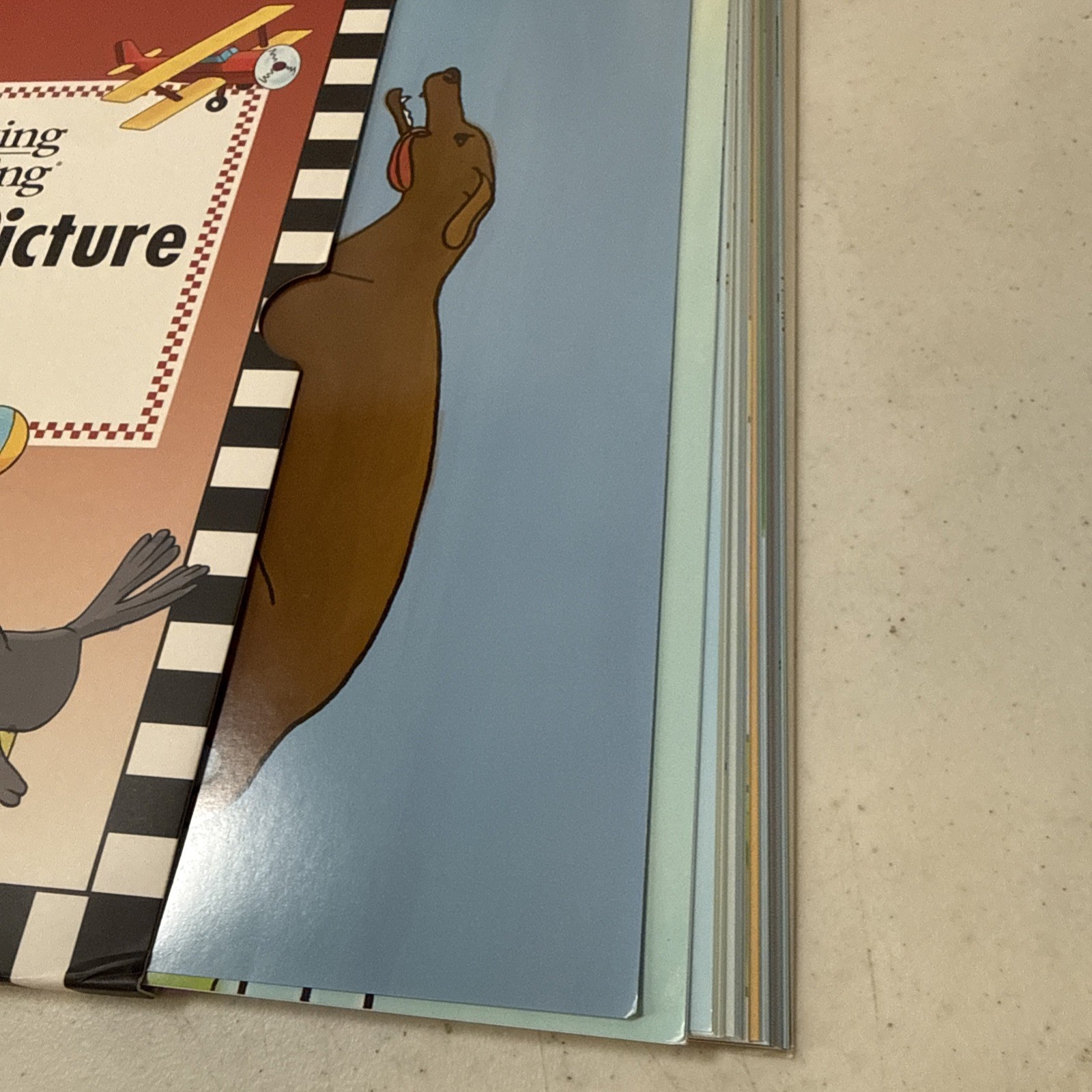 Visualizing and Verbalizing Picture To Picture Folder