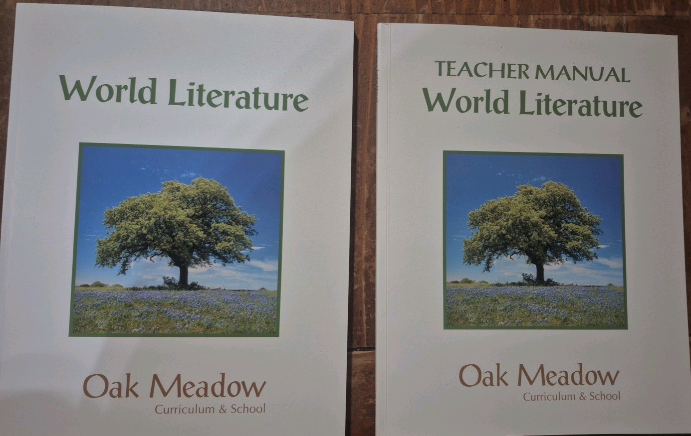 Oak Meadow World Literature Textbook And Teacher Manual