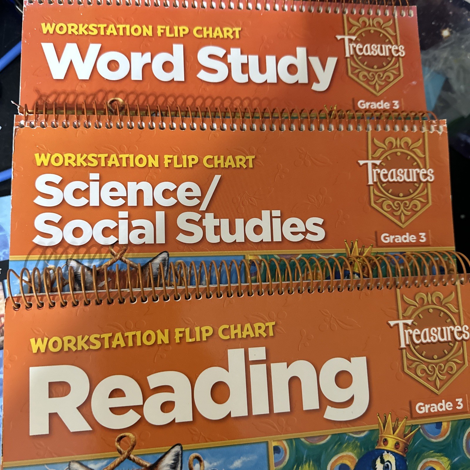 Mcgraw Hill Workstation Flipchart Grade 3 Lot Of Three