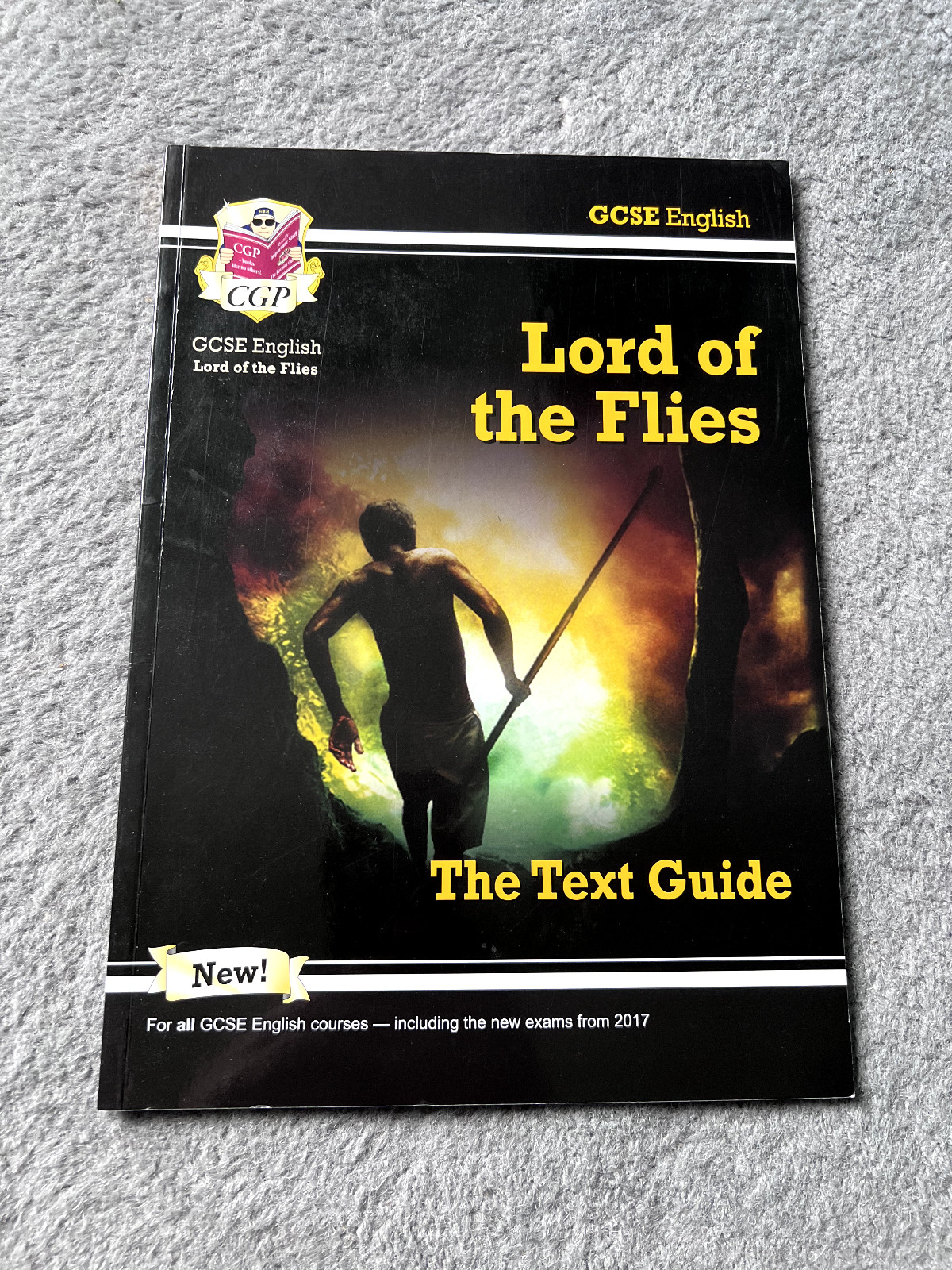 GCSE English, CGP Guide Lord Of The Flies Text Guide.