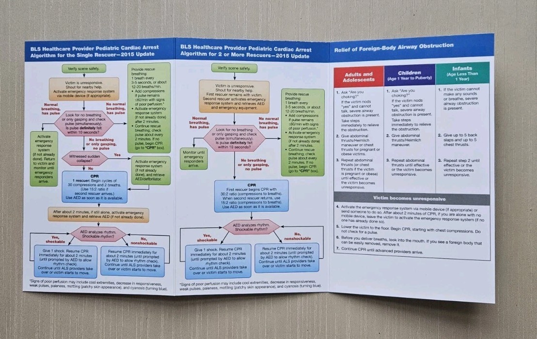 Basic Life Support Provider Manual and Quick Reference Card American Heart Assoc