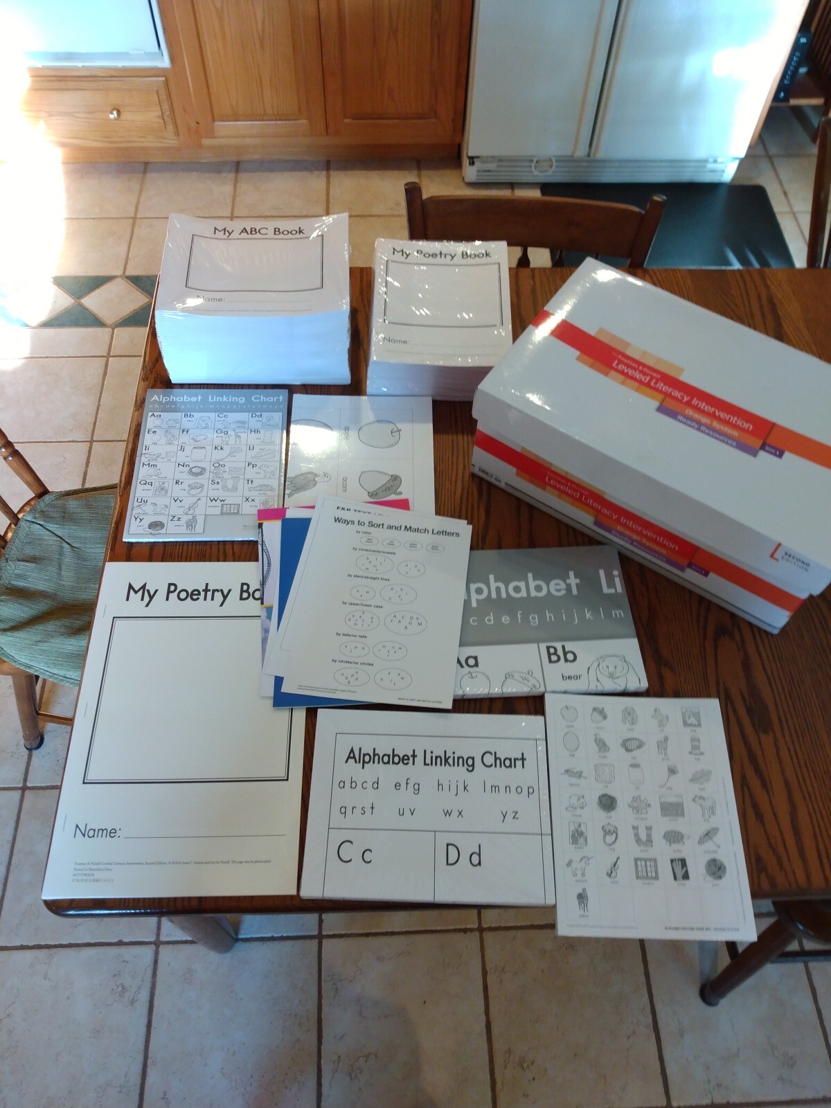 fountas & Pinnell LLI Orange system Ready Resources grade K 2nd ed. Levels A-E