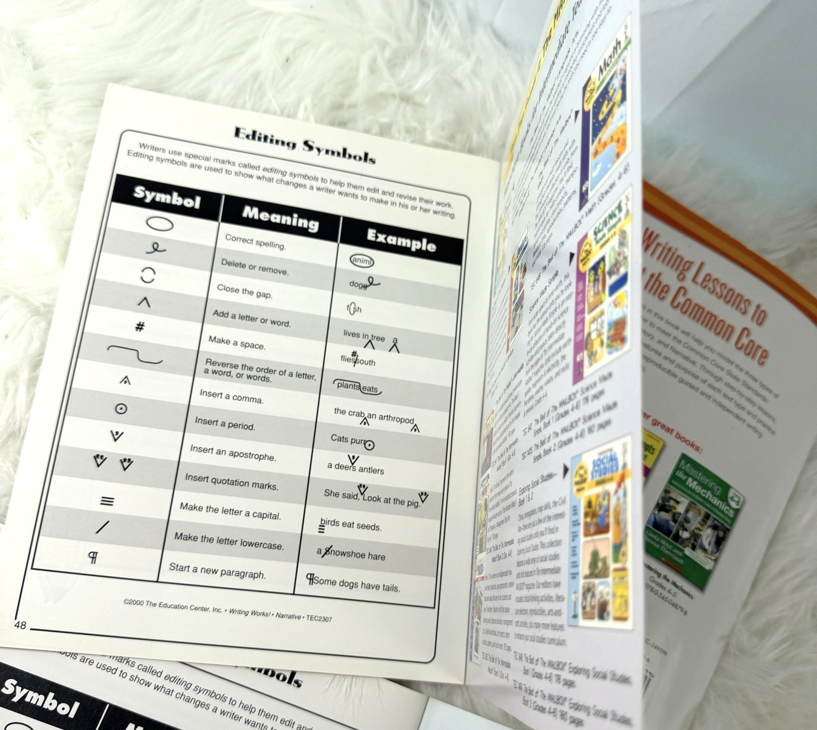 USED Scholastic and Mailbox Descriptive & Narrative Writing Instructional Books