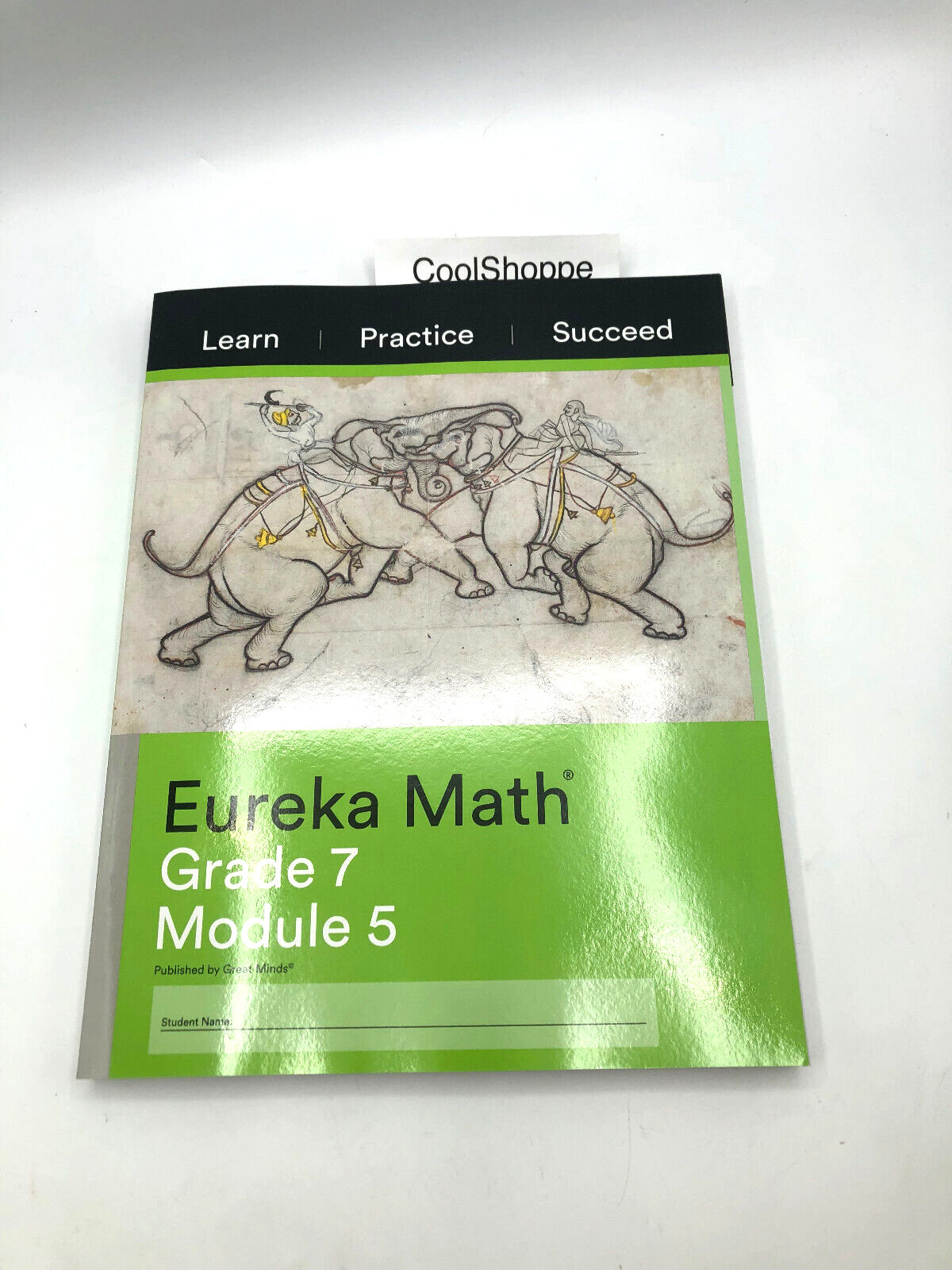 Eureka math Grade 7 Module 5 LEARN PRACTICE SUCCEED NEW STUDENT WORKBOOK