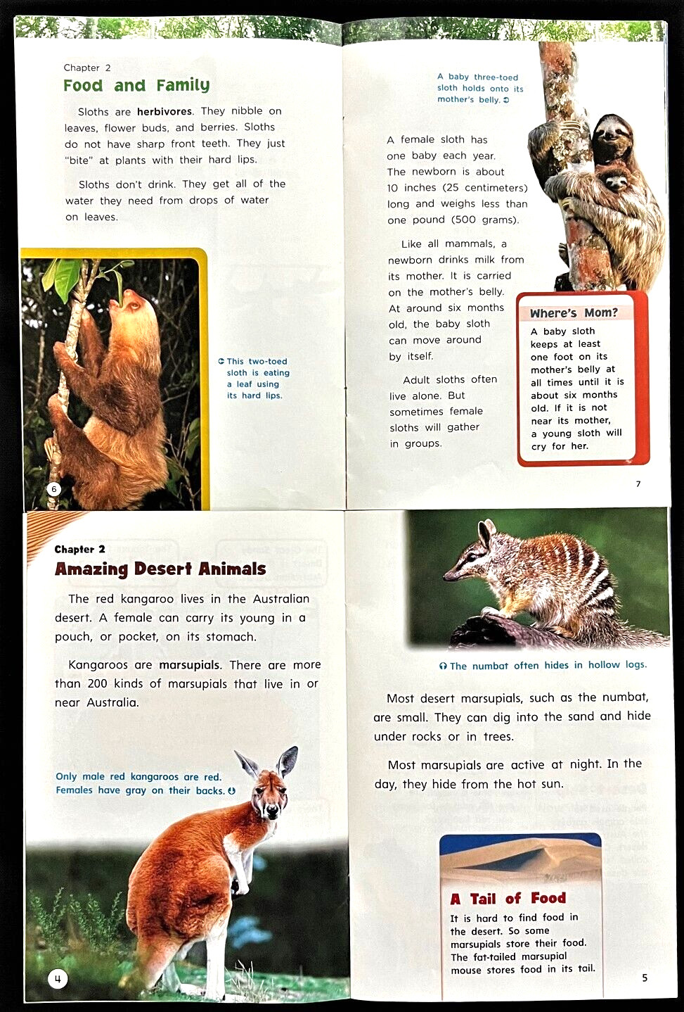 2nd Grade -GENRE LEVELED READER LIBRARY (Info. Nonfiction, Biography) – 38 books