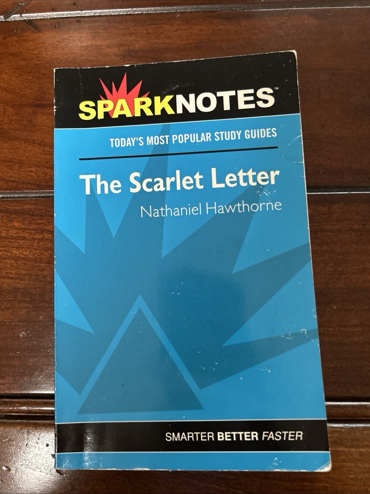 THE SCARLET LETTER, Sparknotes Study Guide, VG Condition