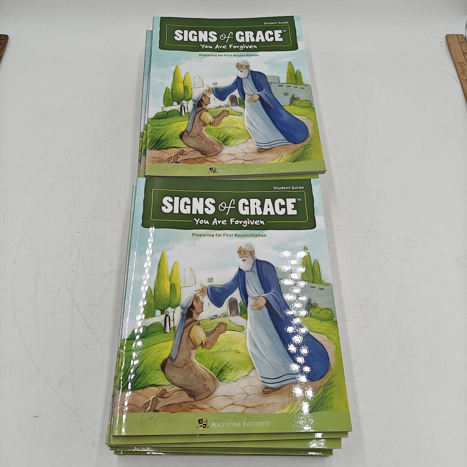 (20) NEW Classroom / Church Set! Signs of Grace You are Forgiven! Student Guide!