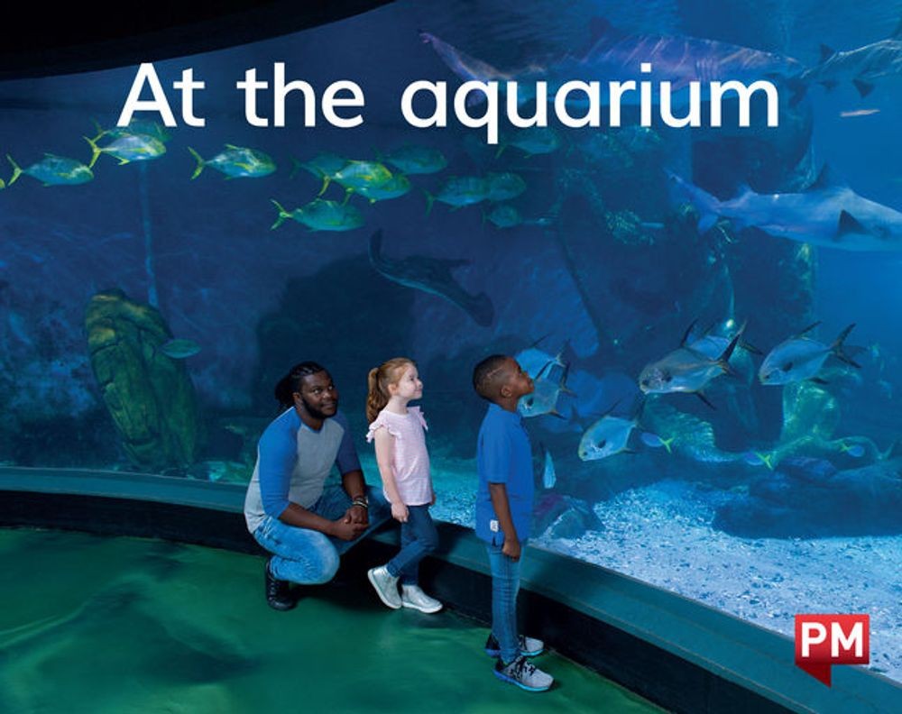 At the aquarium 1st Edition by Annette Smith (English) Paperback Book