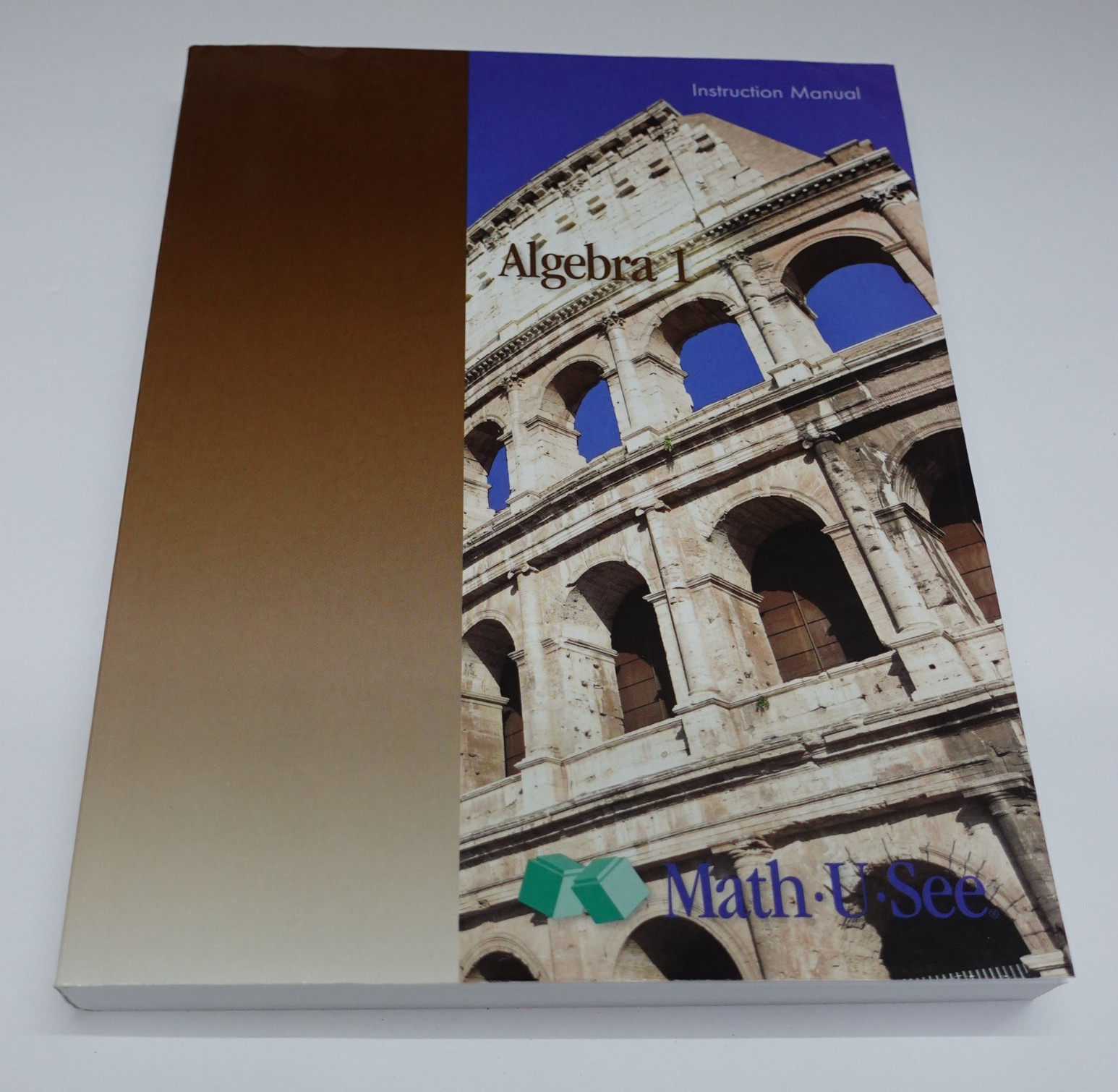 Algebra 1 Instruction Manual by Steven P. Demme (Paperback)