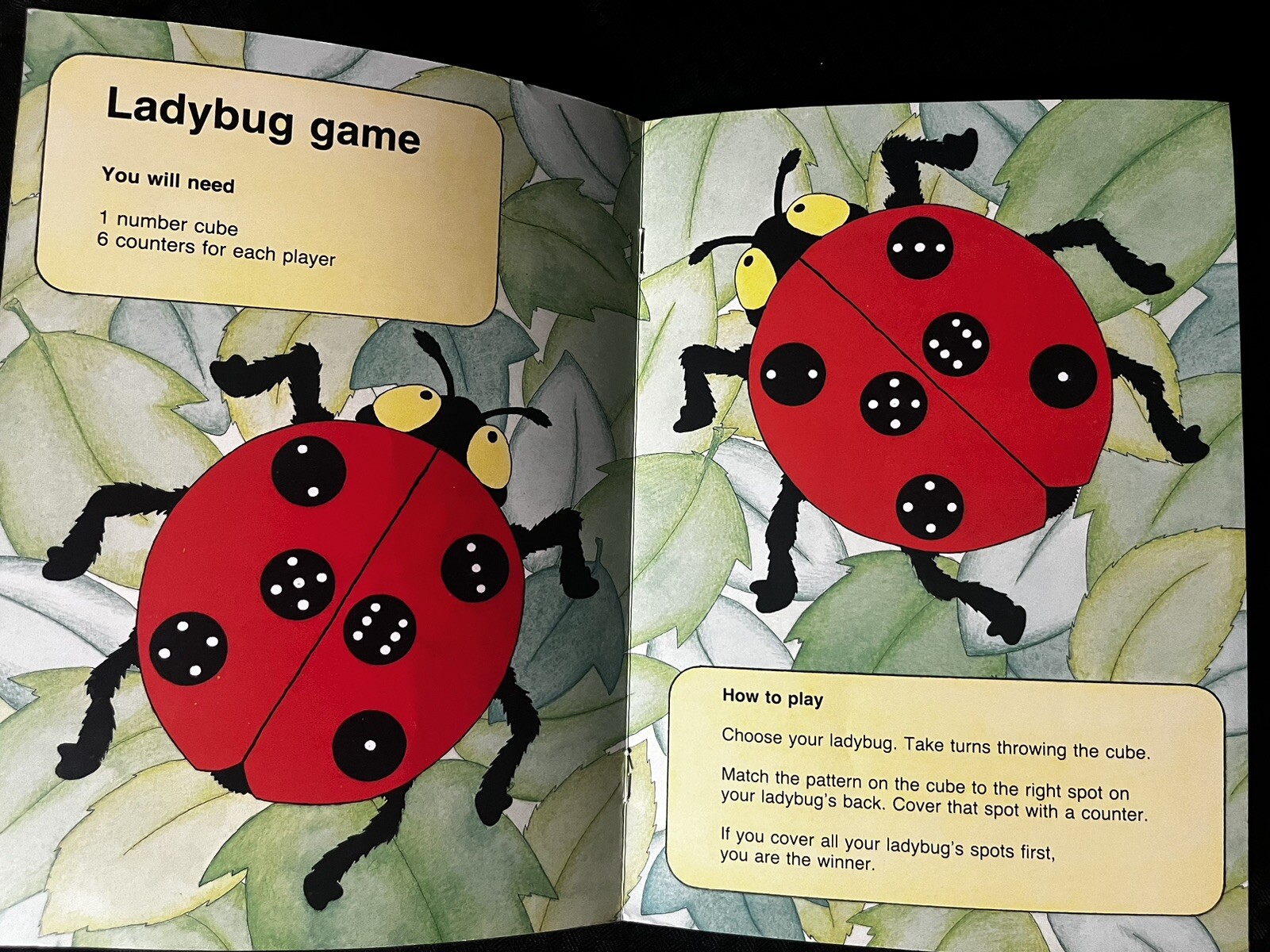 Getting Ready To Read And Write 2, Ages 3-4 Preschool Activities, By Jane Salt