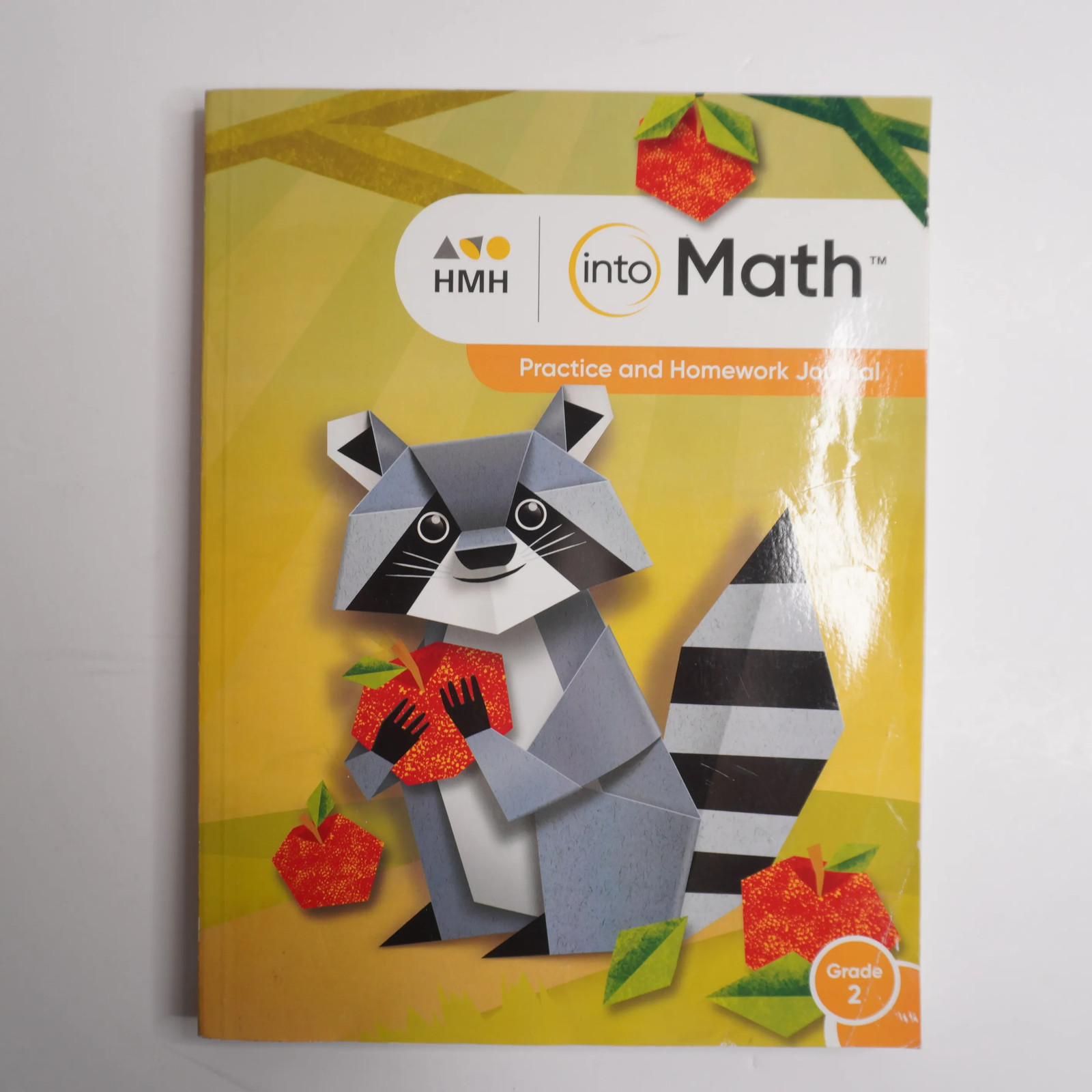 Into Math Practice and Homework Journal Workbook HMH