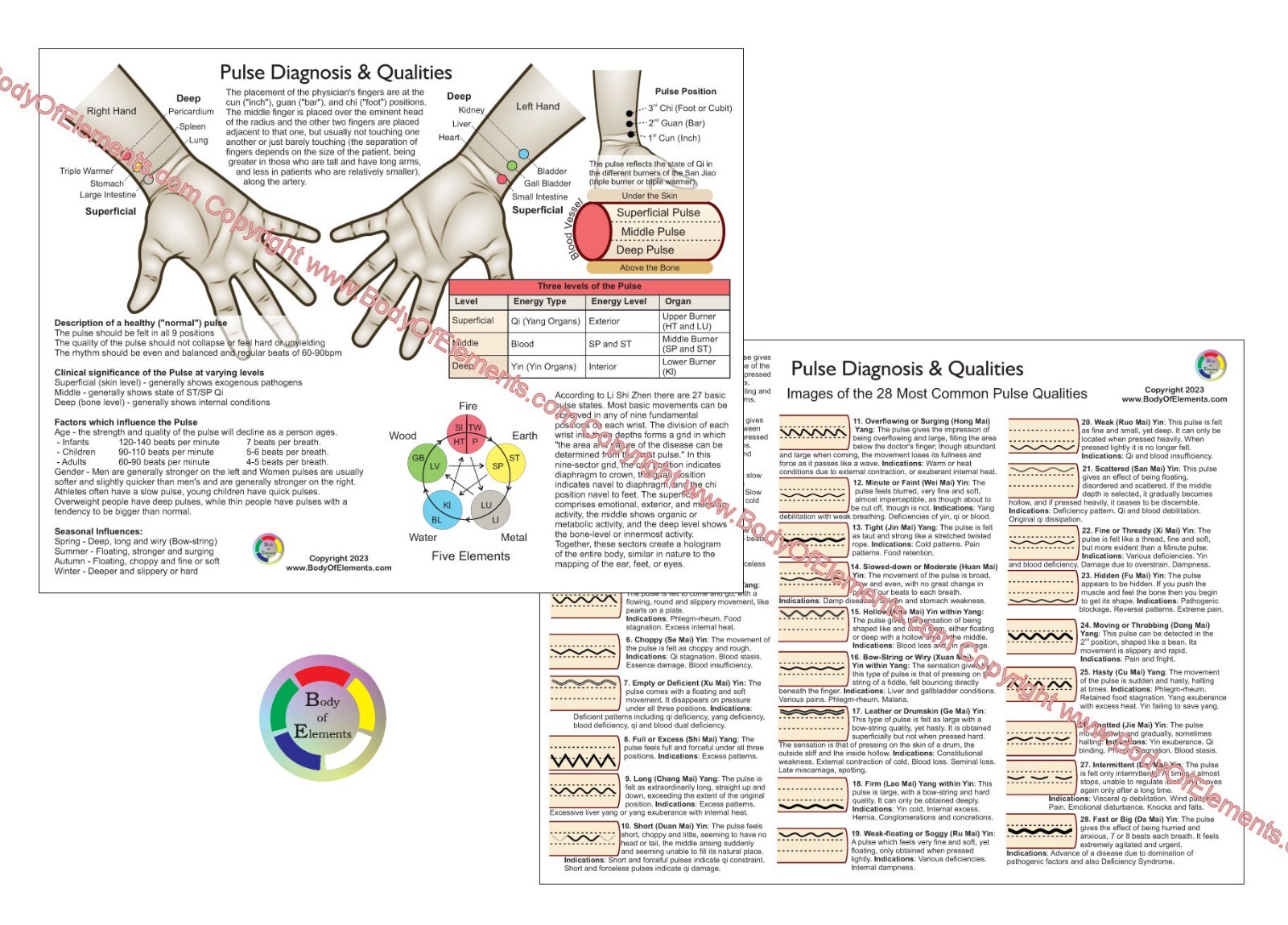 Pulse Diagnosis Qualities Acupuncture Chart 8.5″ X 11″ TCM