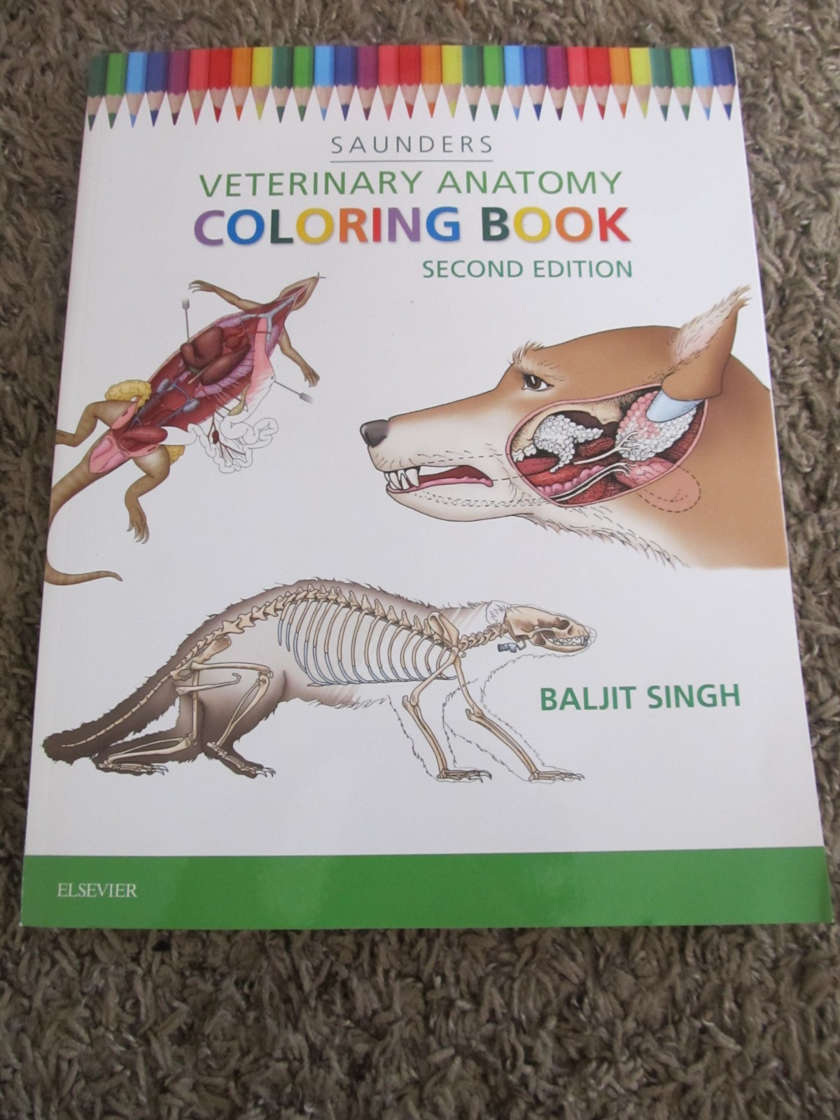 Saunders VETERINARY ANATOMY COLORING BOOK Beljit Singh Second Edition Excellent