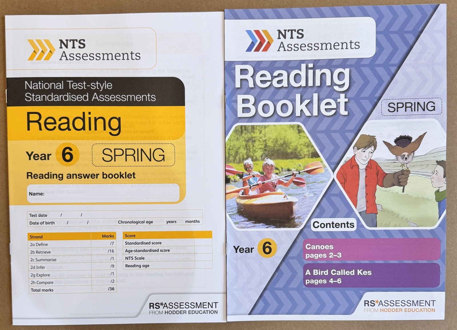 Year 6 NTS Assessment Reading SPRING