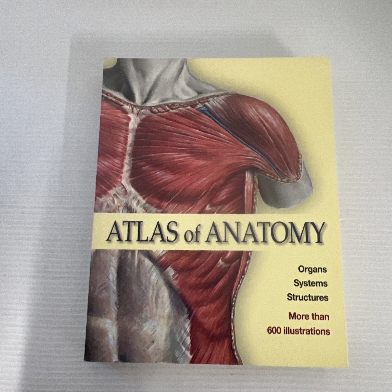 Atlas Of Anatomy Organs Systems Structures More Than 600 Illustrations Like New