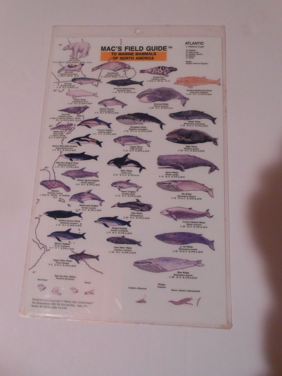 MAC’S FIELD GUIDE TO MARINE MAMMALS OF NORTH AMERICA PACIFIC ATLANTIC LA