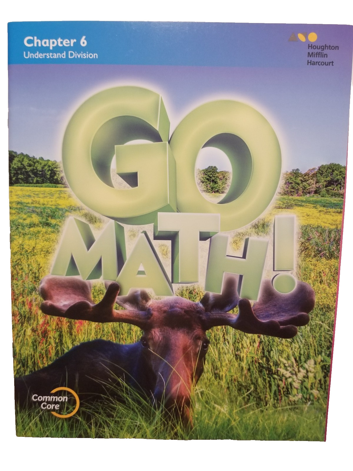 Go Math ! Grade 3 Multipication & Divison Workbooks Learning 3 Homeschooling