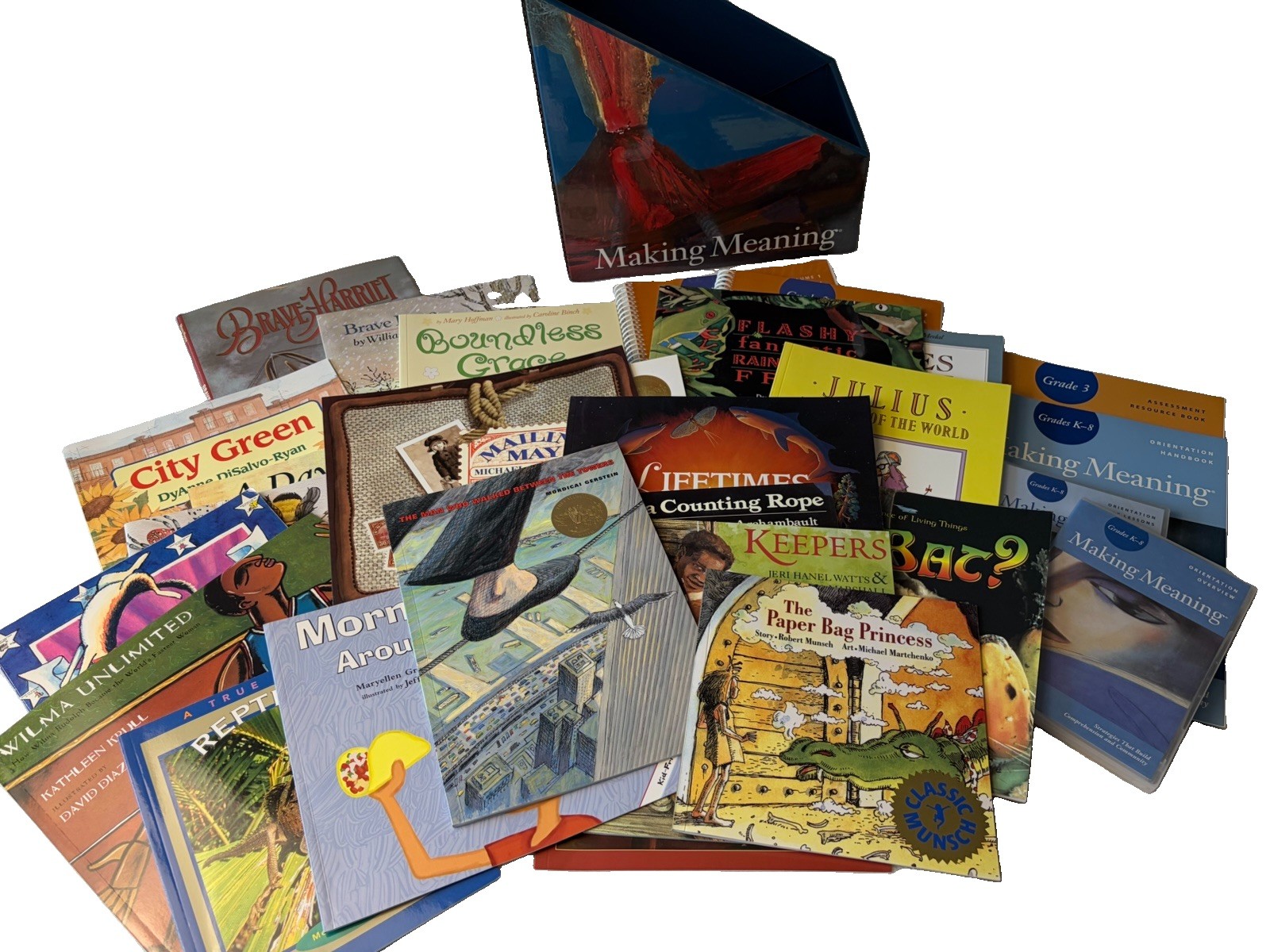 Making Meaning Grade 3 COMPLETE Classroom Set 2nd Ed. Manuals + 25 Mentor Texts