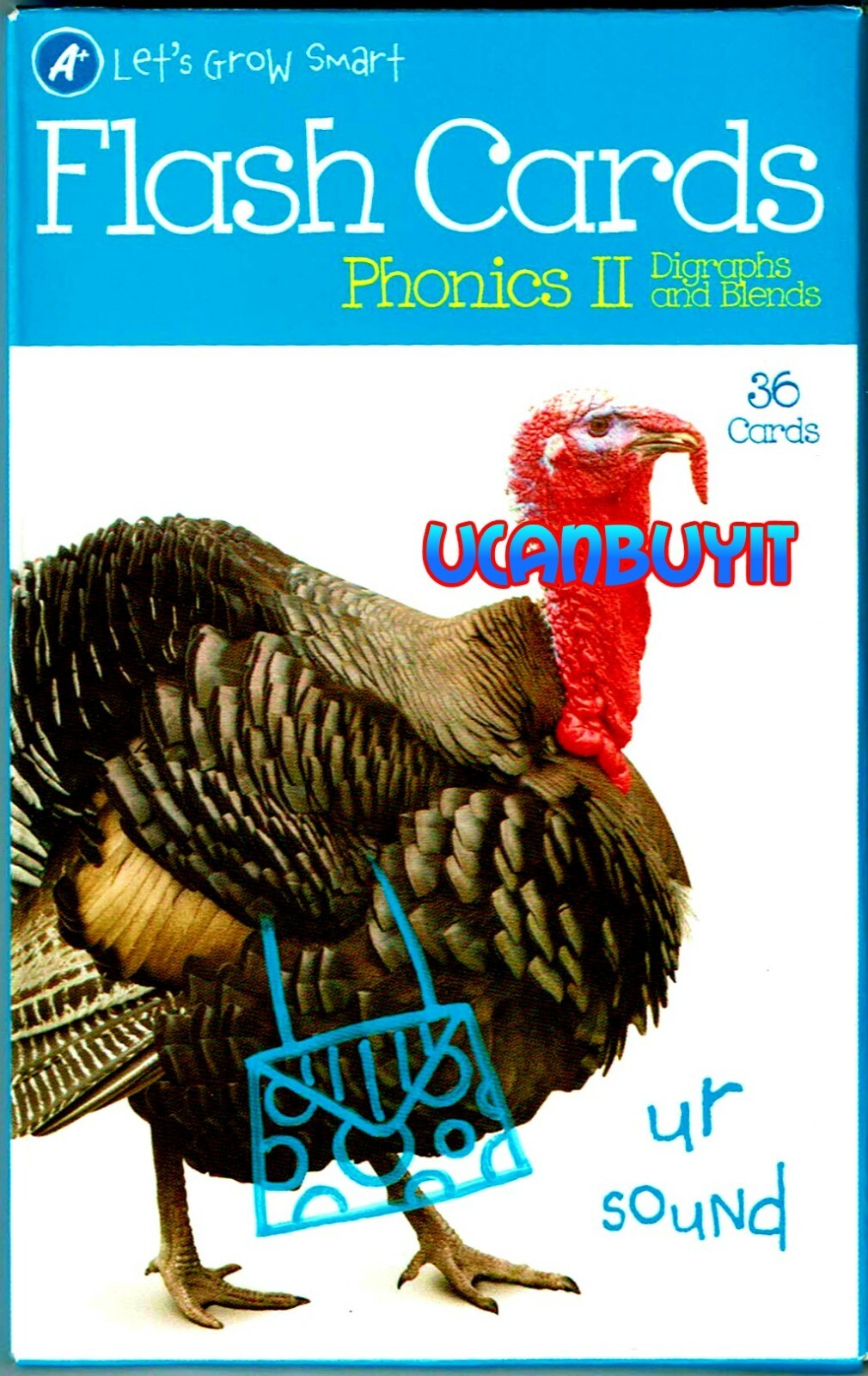 New! 36pk PHONICS II Digraphs & Blends Colorful Flash Cards Ages 5+ Grades K+