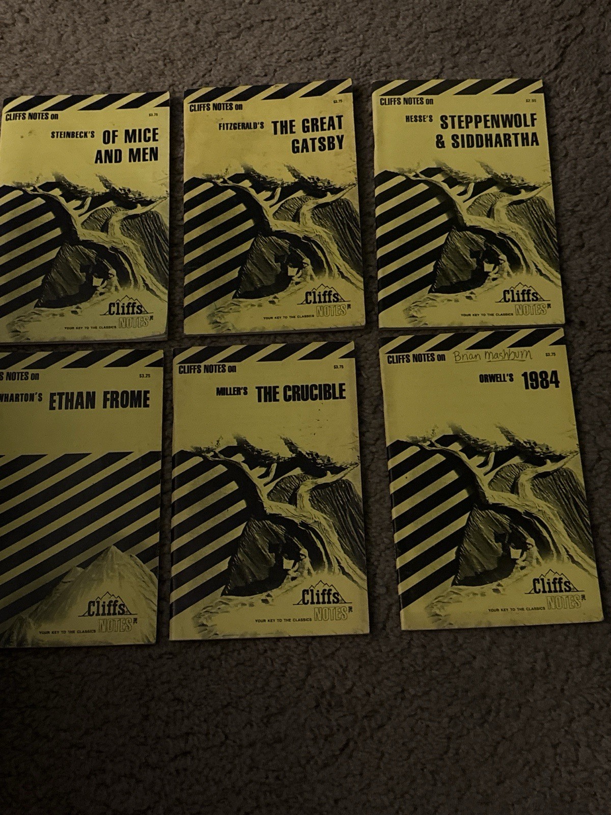 Cliffs Notes Lot of 6 Classic Literature Guides Gatsby Crucible Of Mice & Men