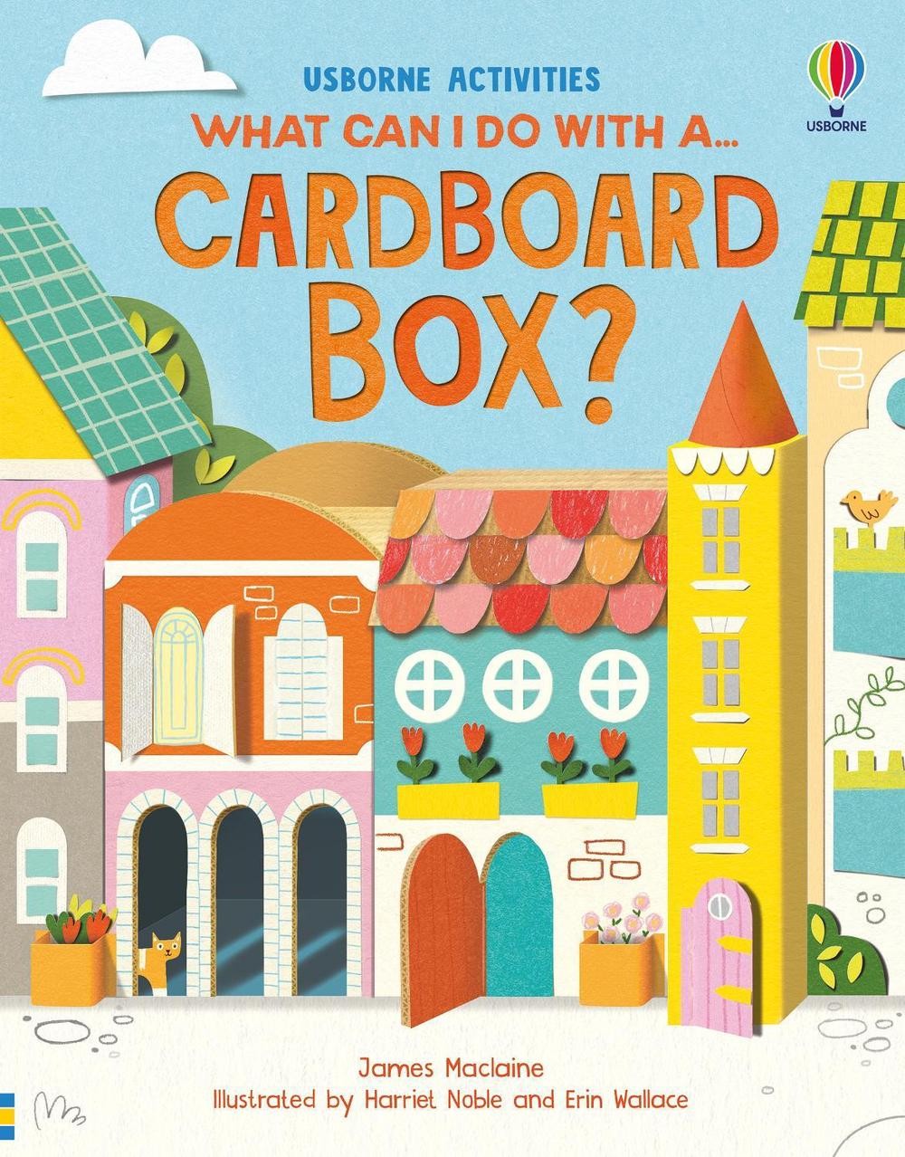 What Can I Do with a Cardboard Box? by James Maclaine Paperback Book