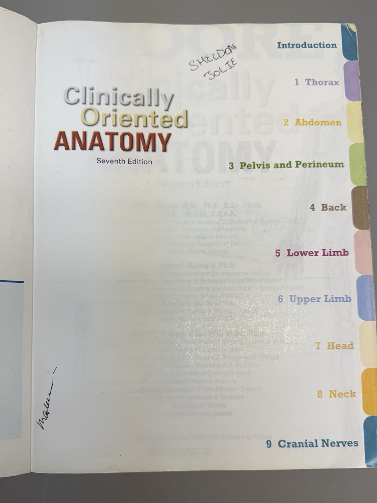 Clinically Oriented Anatomy 7th Ed by Arthur Daley Anne Agur Softcover Textbook