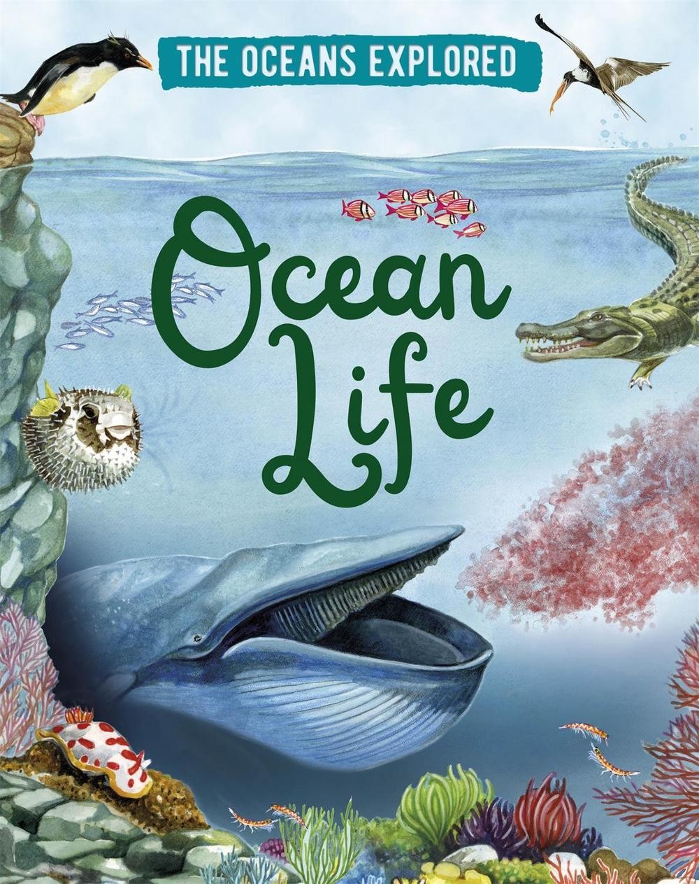 The Oceans Explored: Ocean Life by Claudia Martin (English) Hardcover Book